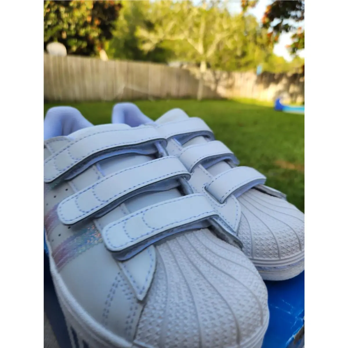 Adidas shoes - adidas Superstar CF - Superstar - White 8
