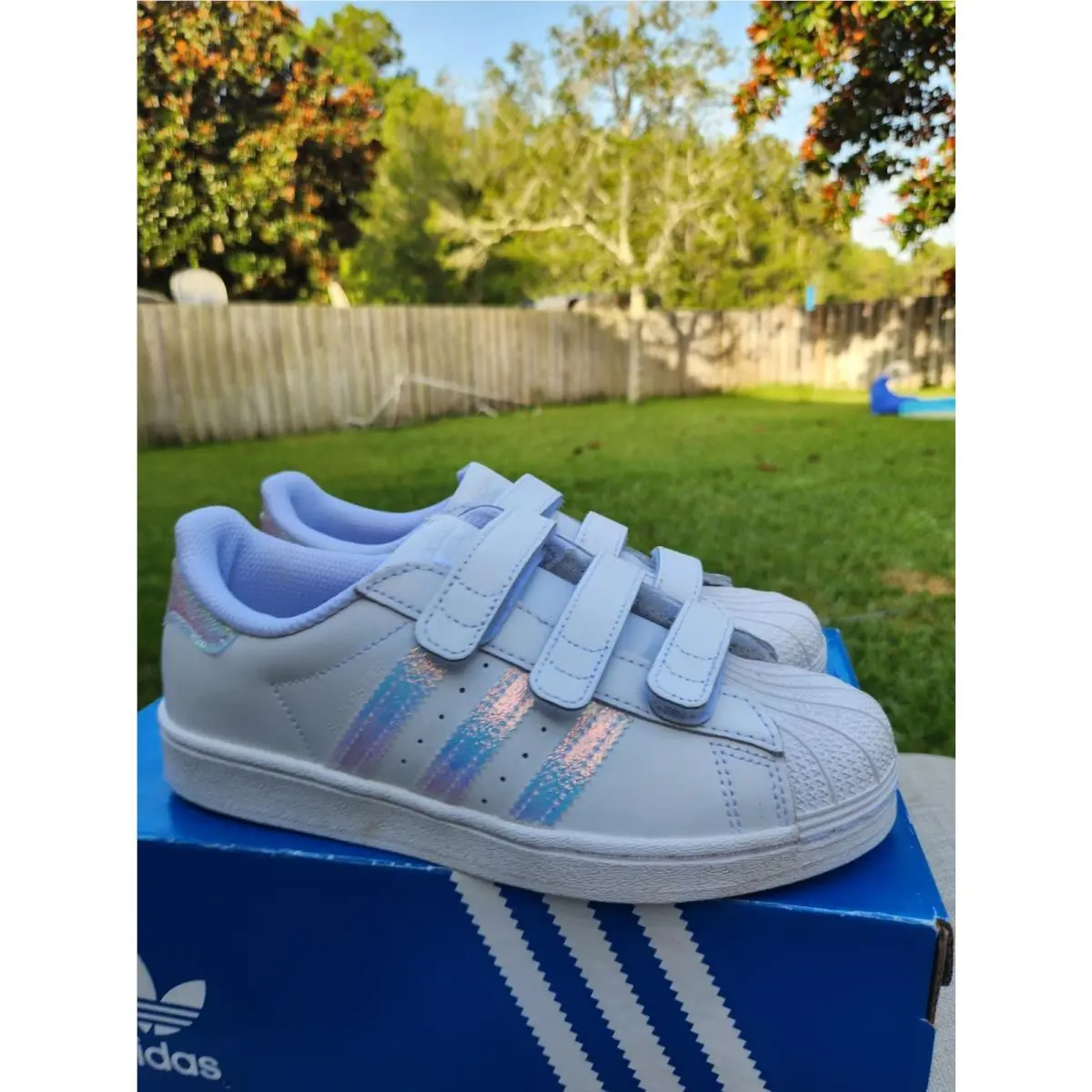 Adidas shoes - adidas Superstar CF - Superstar - White 0