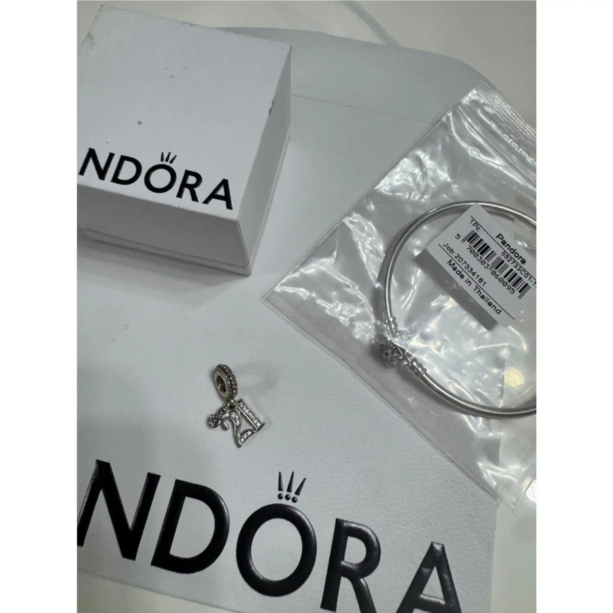 Pandora Moments Sterling Silver Bracelet with 21 Charm Includes Box and Bag