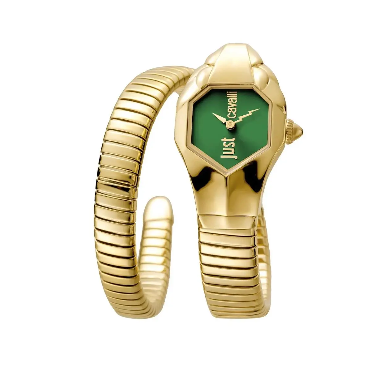 Just Cavalli Women`s JC1L001M0055 Glam Dna 22mm Ipyg Green Dial Quartz Watch
