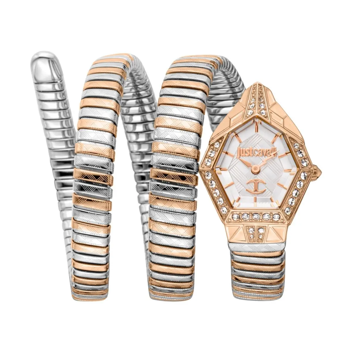 Just Cavalli Women`s Mesmerizing 23mm Quartz Watch JC1L304M0075