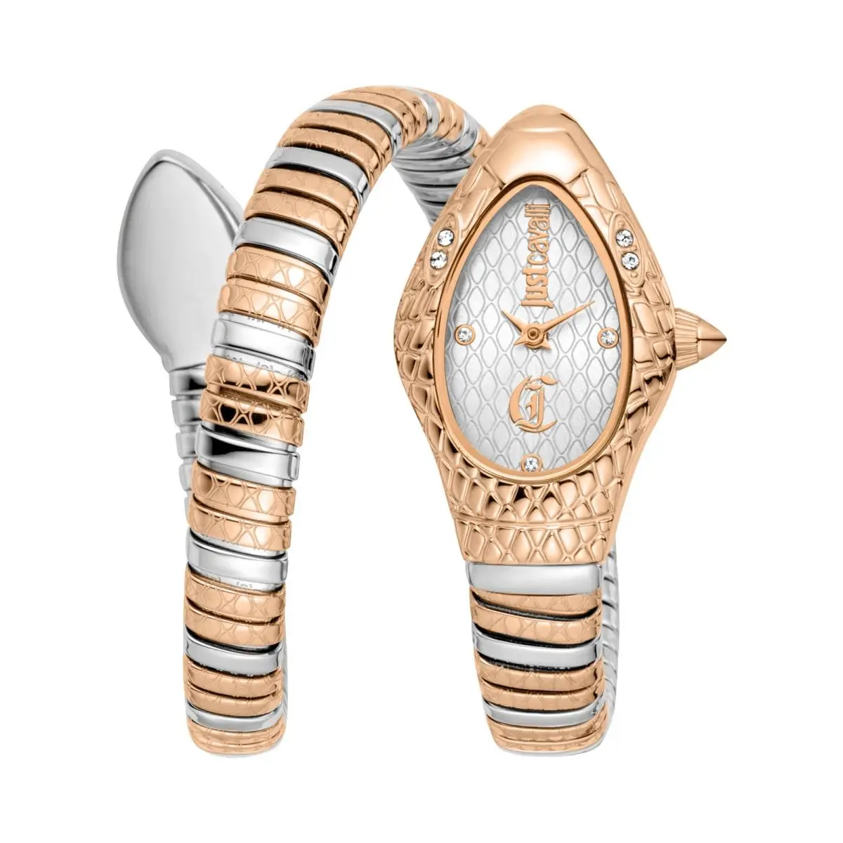 Just Cavalli Women`s Vetra 20mm Quartz Watch JC1L373M0065
