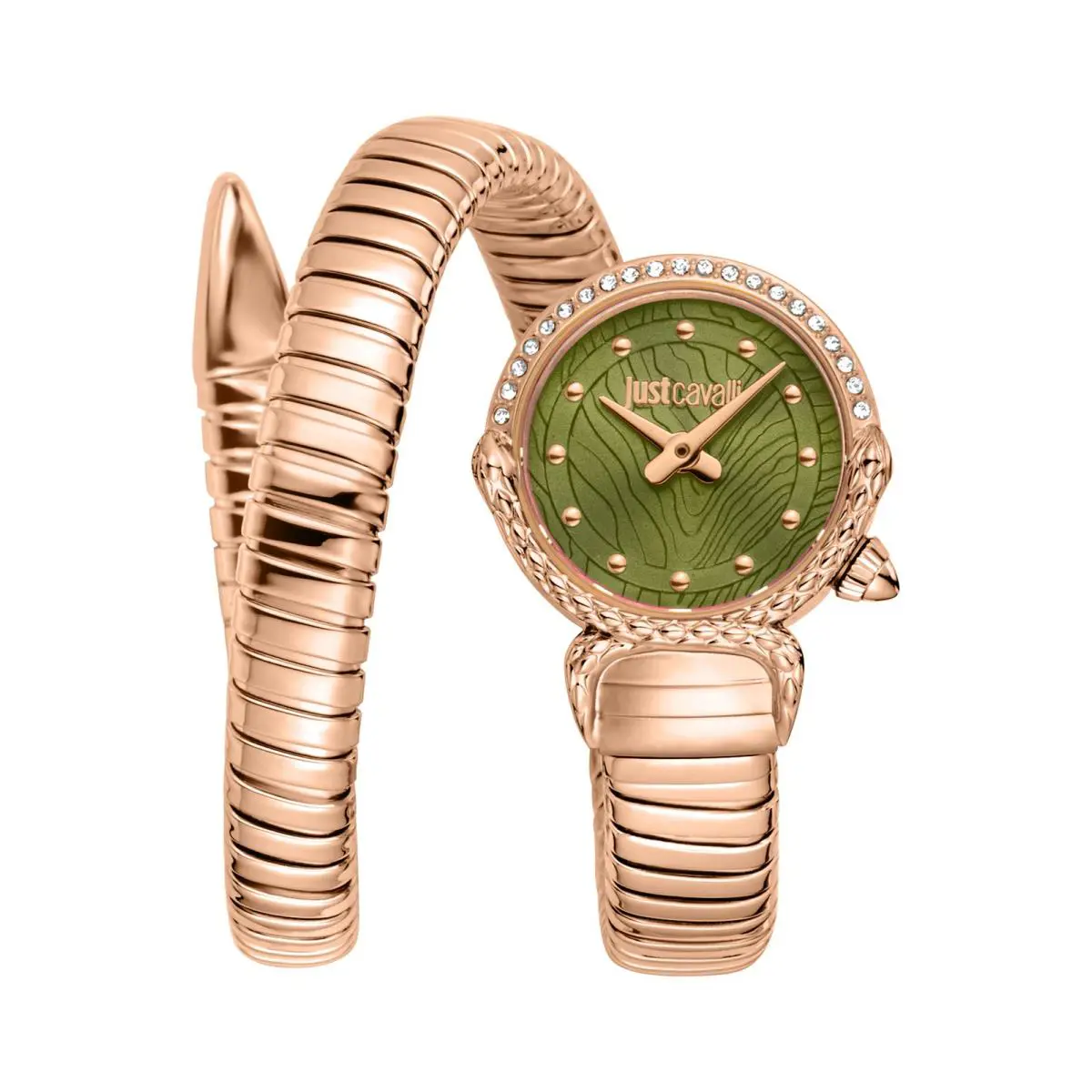 Just Cavalli Women`s Radiosa 22mm Quartz Watch JC1L350M0045