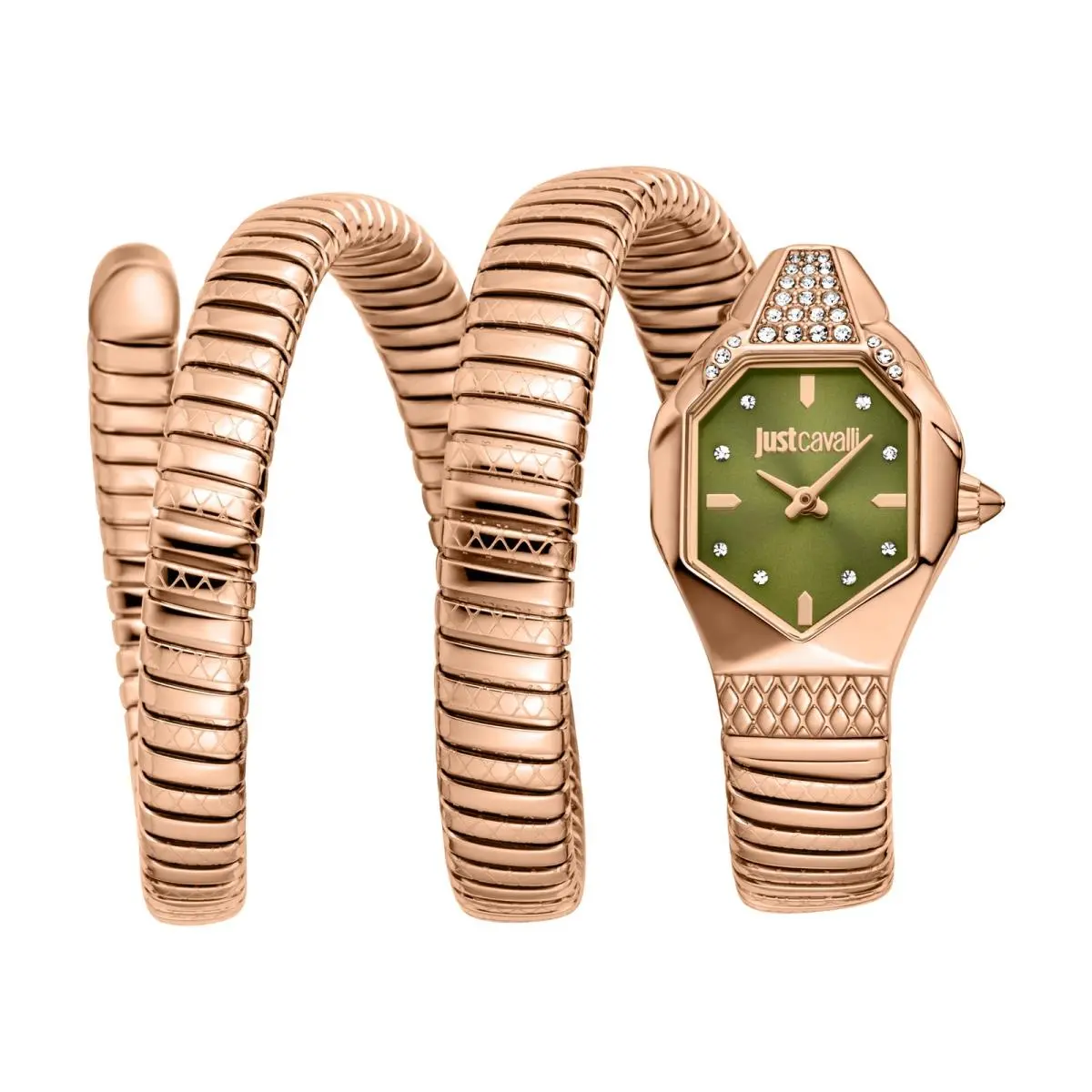 Just Cavalli Women`s Snake 22mm Quartz Watch JC1L370M0045