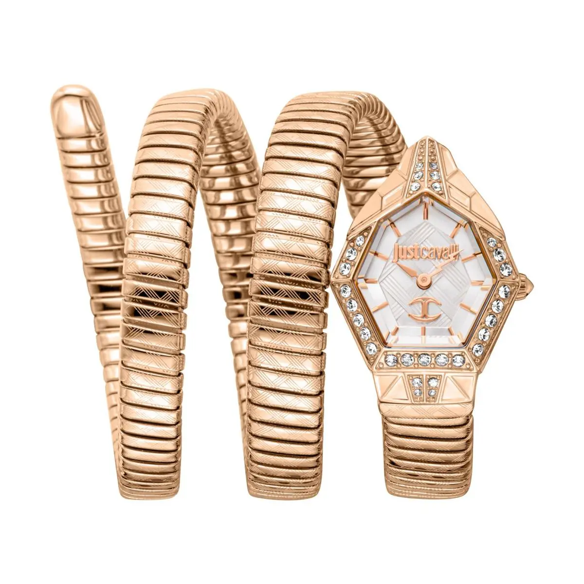 Just Cavalli Women`s Mesmerizing 23mm Quartz Watch JC1L304M0085