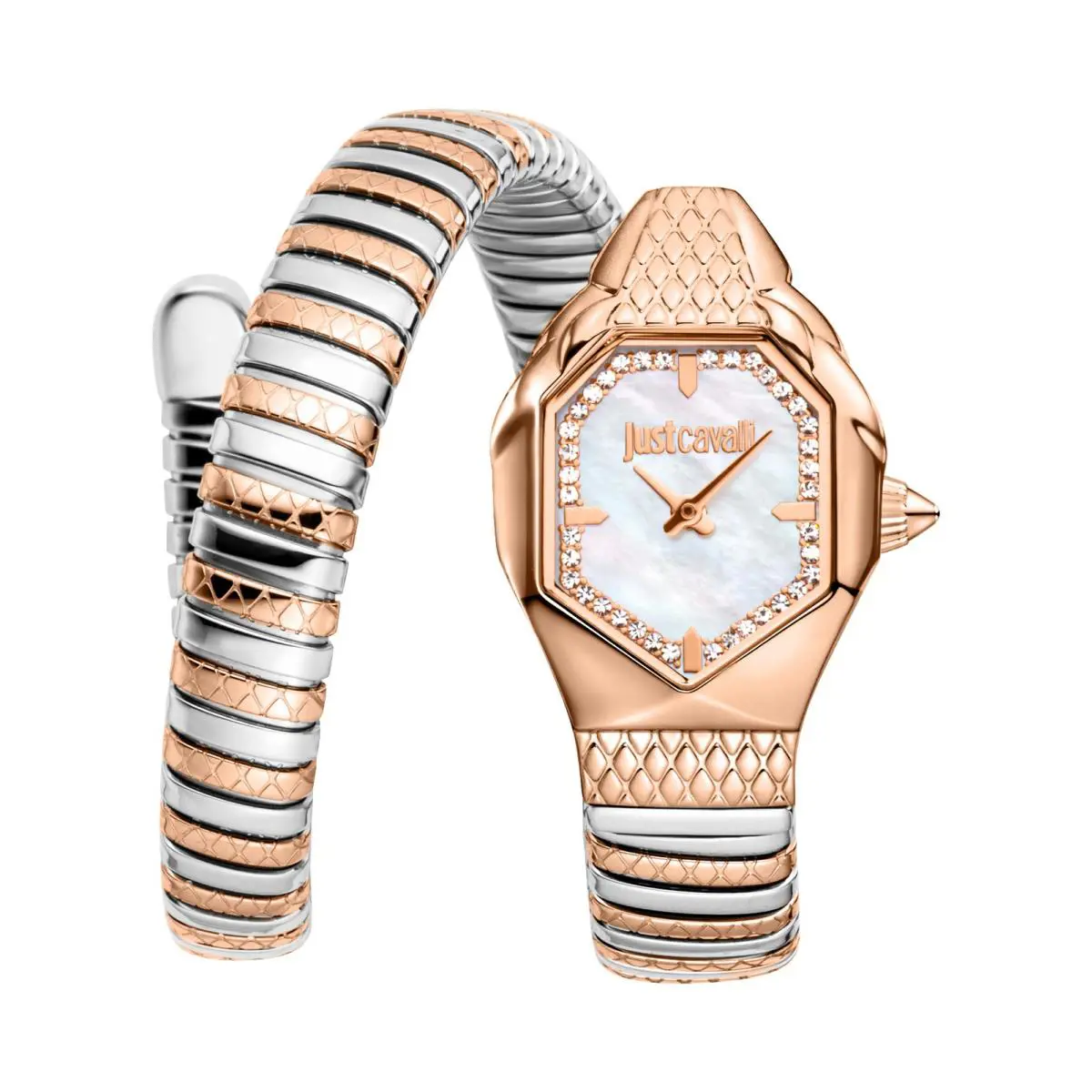 Just Cavalli Women`s Snake 22mm Quartz Watch JC1L369M0075