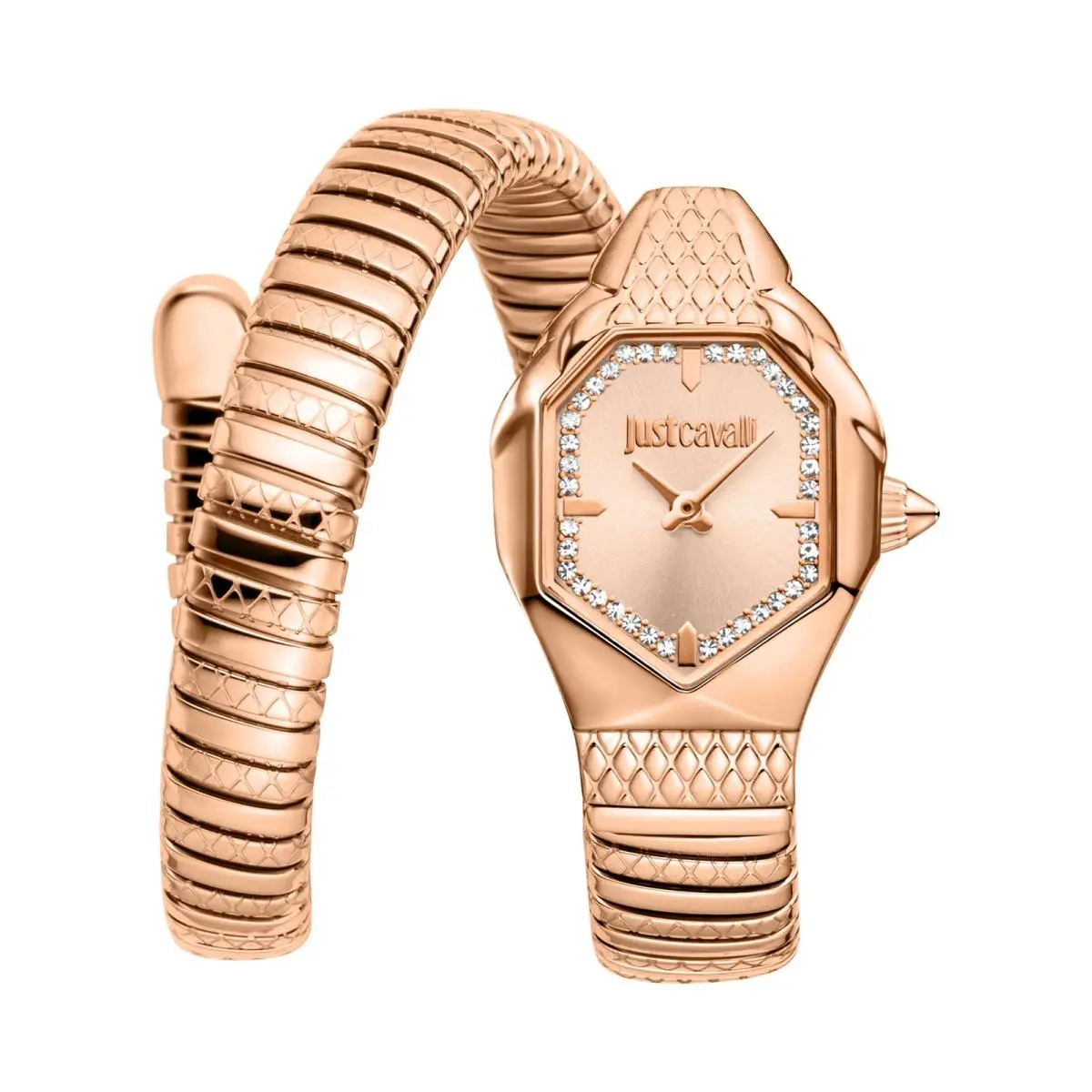 Just Cavalli Women`s Snake 22mm Quartz Watch JC1L369M0055