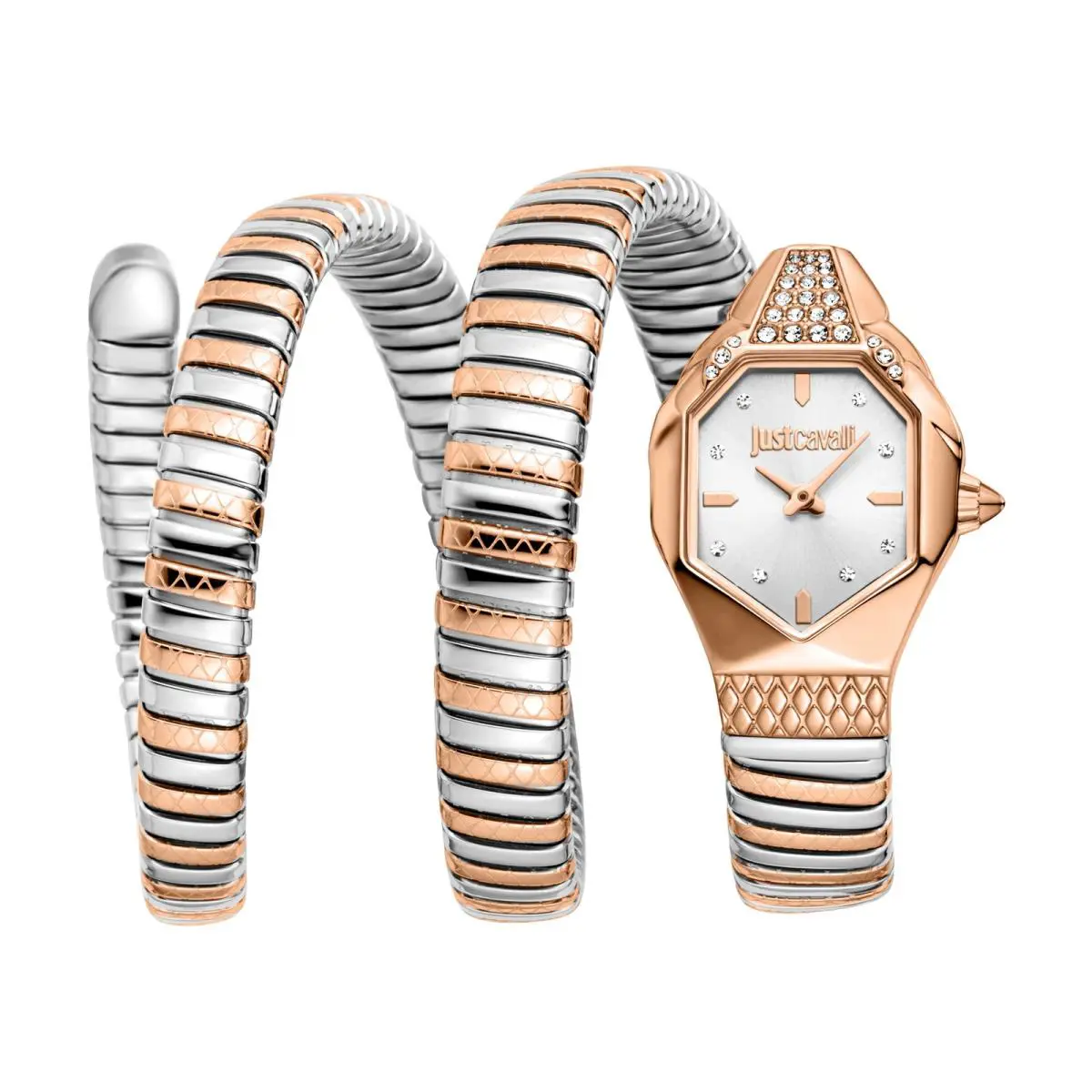 Just Cavalli Women`s Snake 22mm Quartz Watch JC1L370M0065