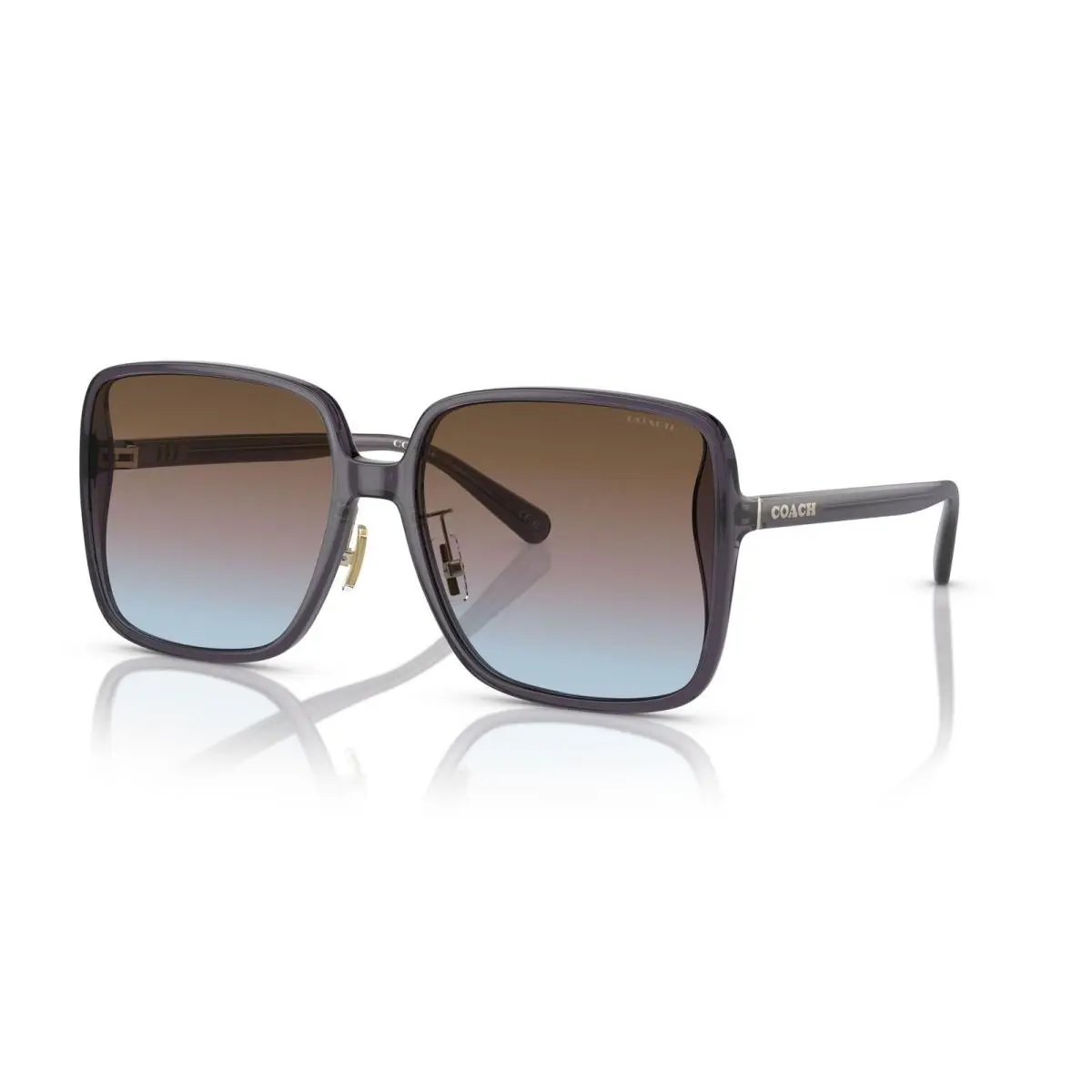 8368D Ch572 Sunglasses 575348 Violet by Coach