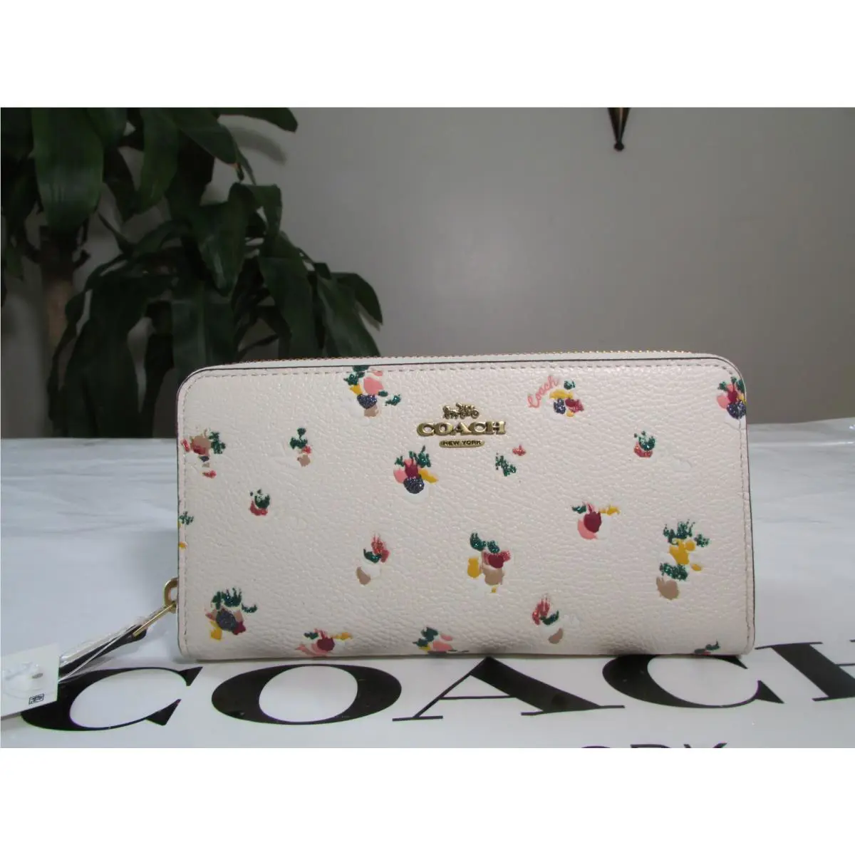 Coach Leather Accordion Zip Wallet with Floral Print C6314 Chalk Multi