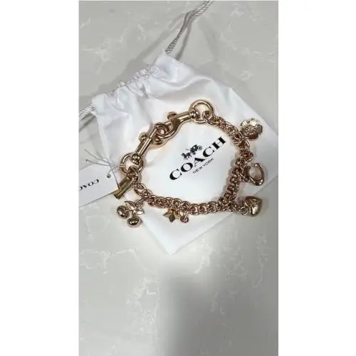 Coach Gold Swagger Chain with Charms In Gold CAX00 Cherry Heart Flower