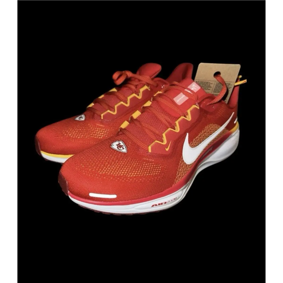 Nike shoes - Nike Air Zoom Pegasus 41 - FZ5079-600 - Red 0