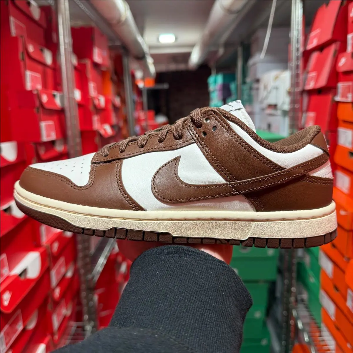 Nike shoes - Nike Dunk Low - Dunk Low - DD1503-124 - Brown 17