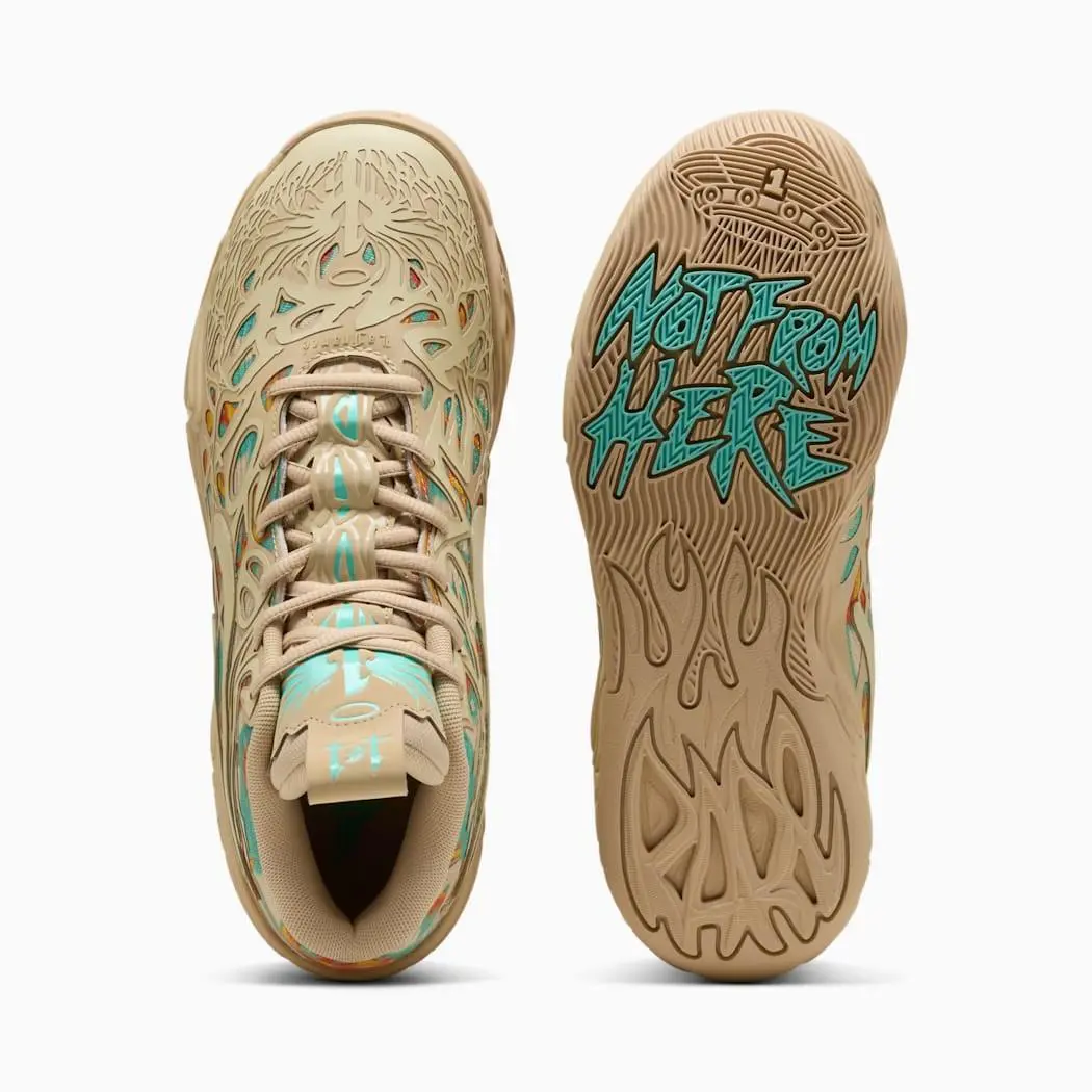 Puma shoes - Multi-Color 1
