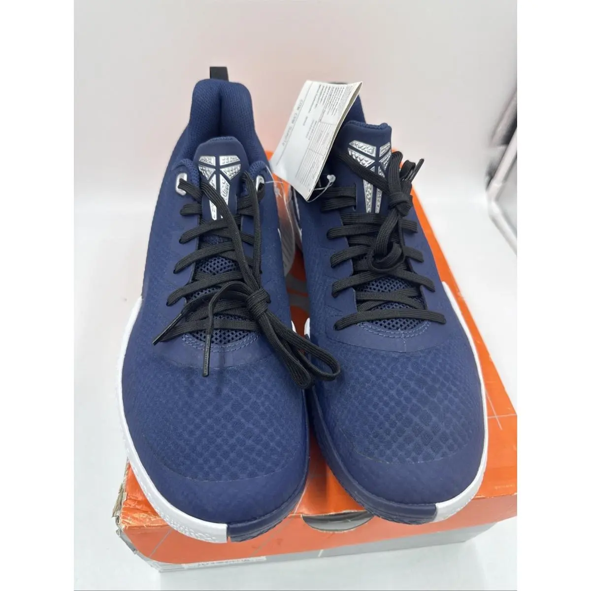 Nike shoes - Nike Mamba Focus - Mamba Focus - AT1214401 - Blue 0