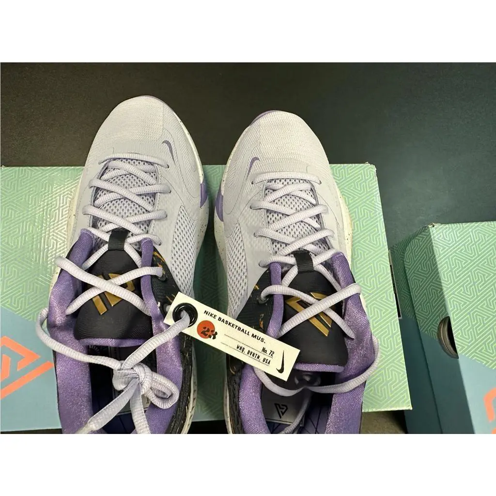 Nike shoes - Nike Zoom Freak - Zoom Freak - DV117EJ7889 - Purple 6