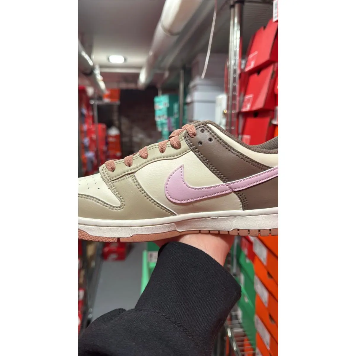 Nike shoes - Nike Dunk Low - Dunk Low - FB9109201 - Desert Khaki / Pink Foam / Coconut Milk (UPC: 197863123240) 5