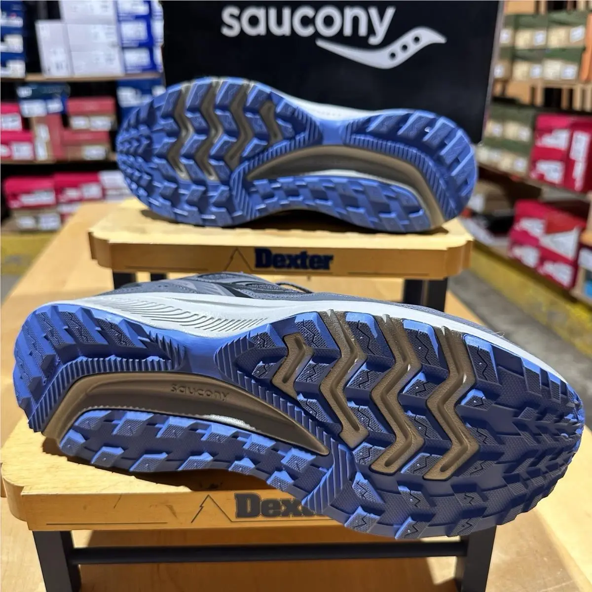 Saucony shoes - Saucony Cohesion 14 - Cohesion - S10633-4 - Black, Manufacturer: Charcoal/Jewel 3