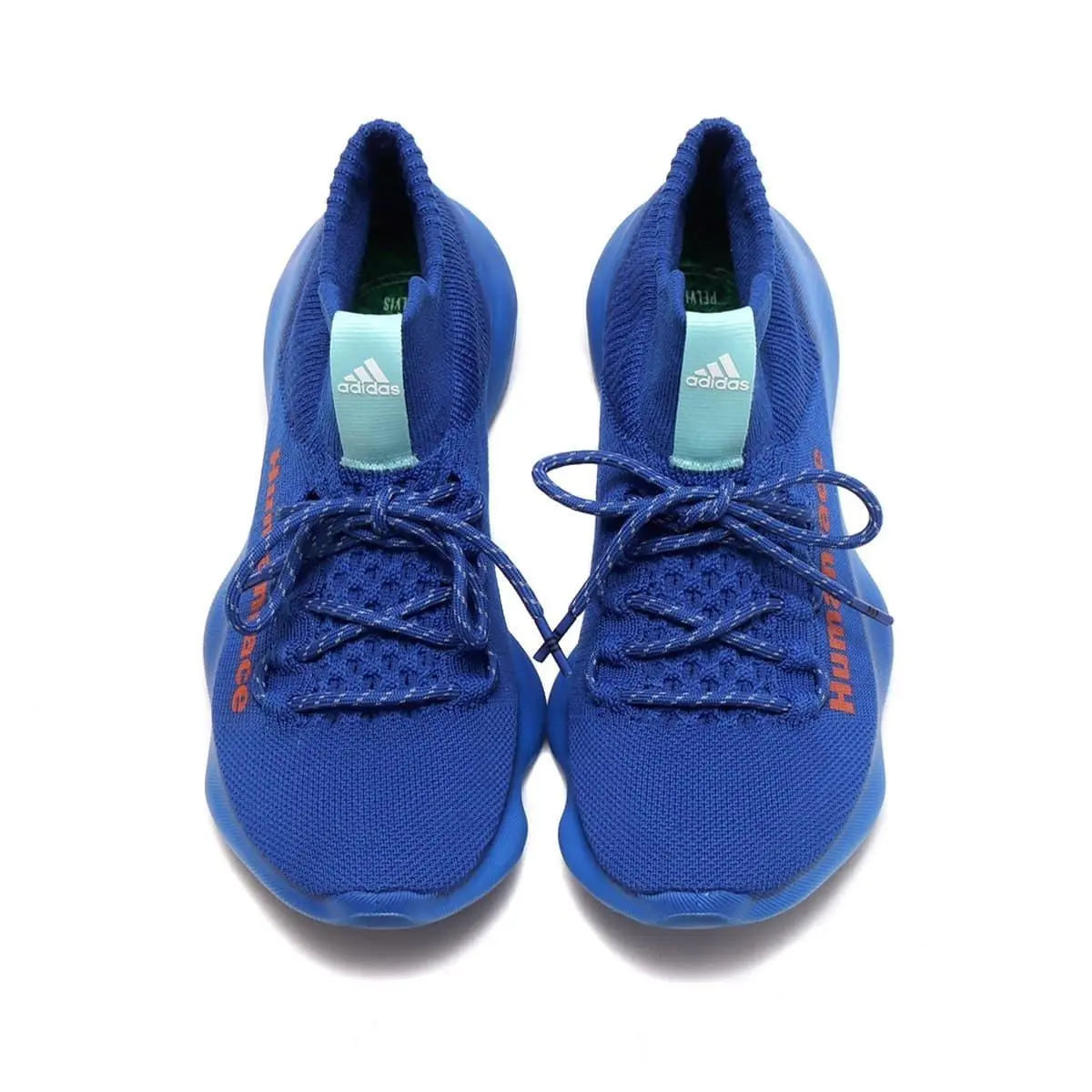 Adidas shoes - adidas Human Race - Human Race - GW4880 - Blue, Manufacturer: Royal Blue / Easy Coral / Clear Aqua 0