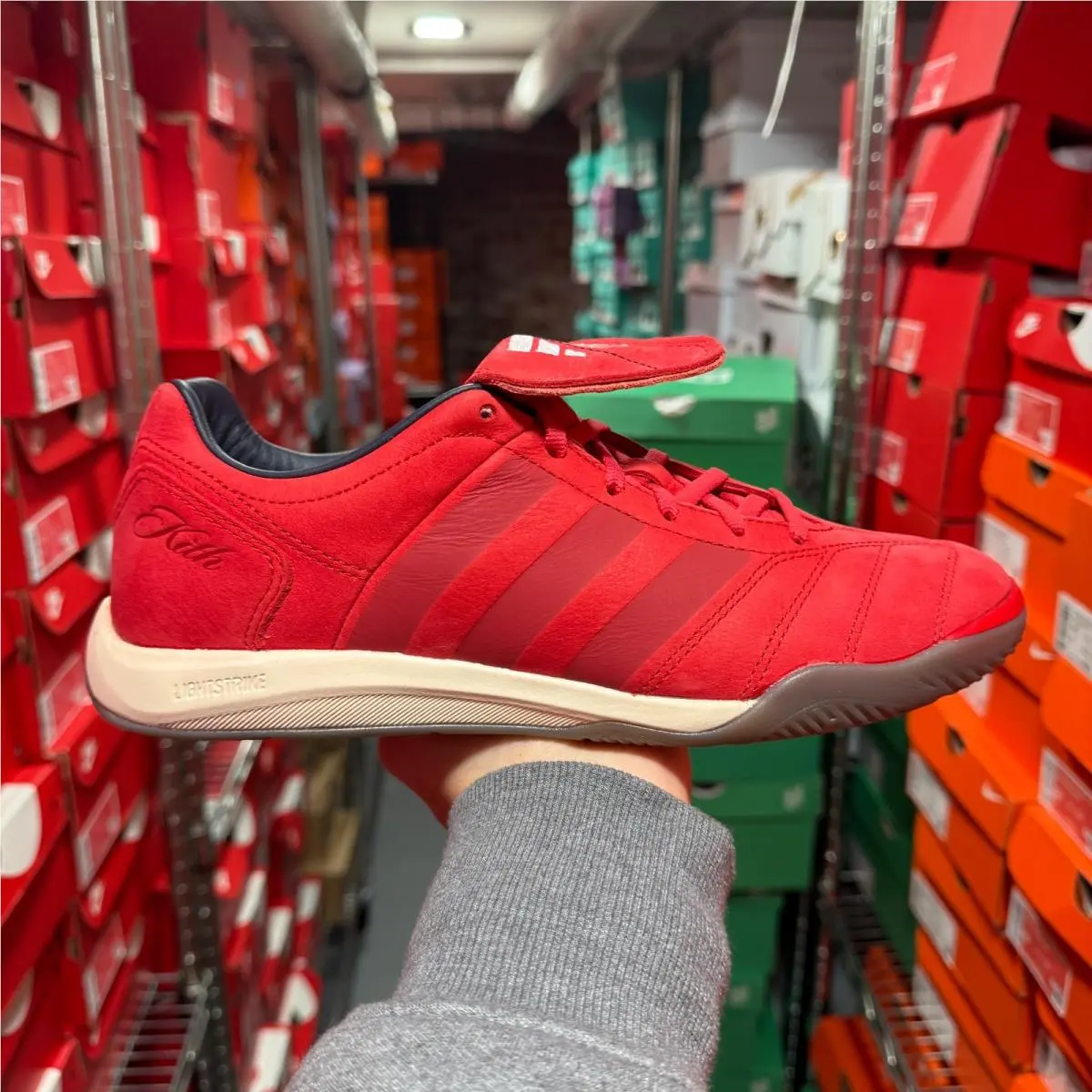 Adidas shoes - adidas Predator - Predator - JQ1084 - Red/White 5
