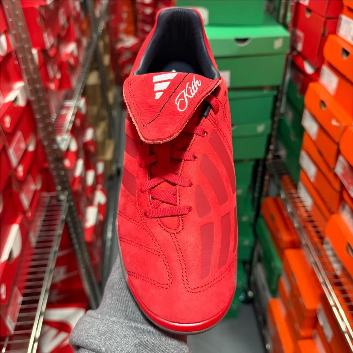 Adidas shoes - adidas Predator - Predator - JQ1084 - Red/White 17