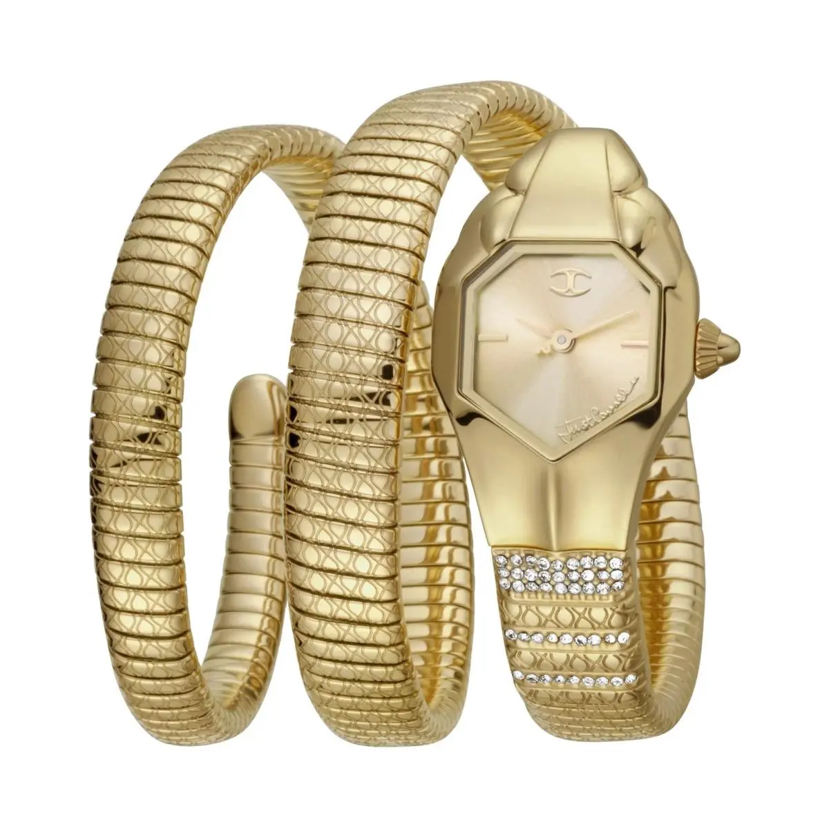 Women`s Glam Snake 22mm Quartz Watch JC1L112M0025 by Just Cavalli