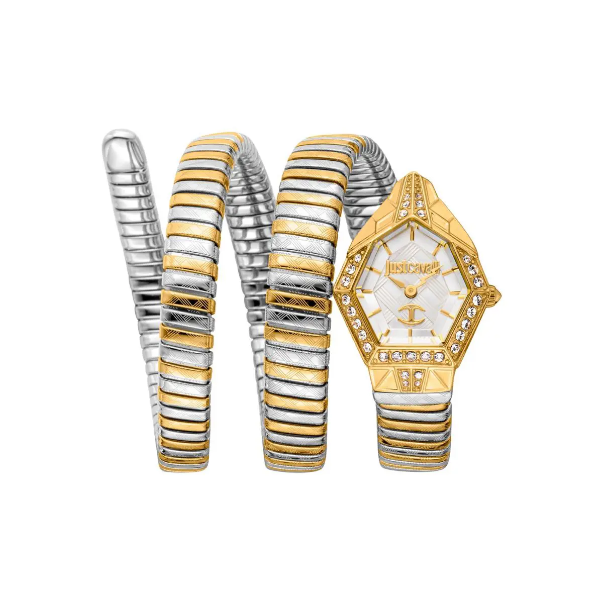 Just Cavalli Women`s Signature Snake 23mm Quartz Watch JC1L304M0055