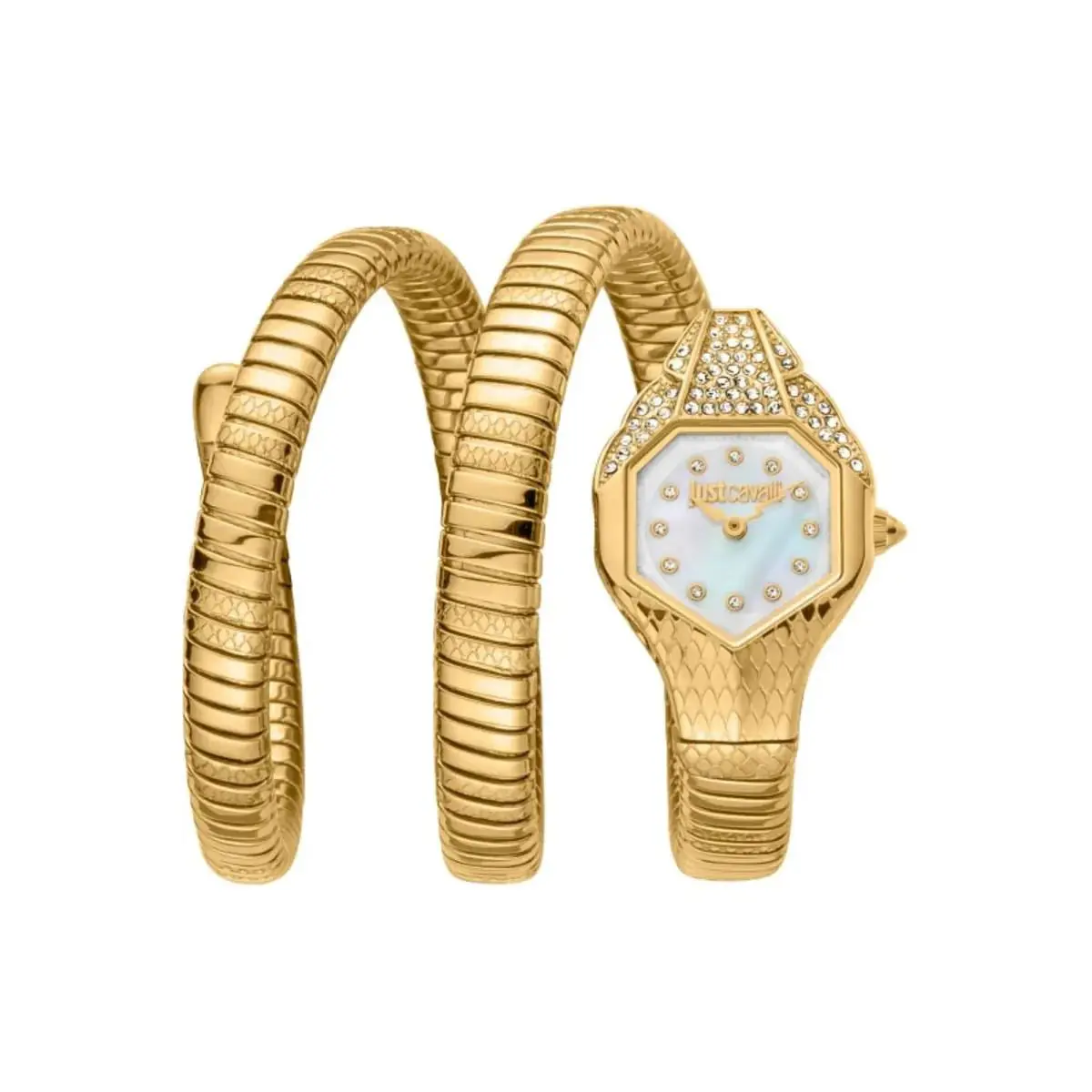 Snake Women`s JC1L193M0025 Signature Snake Gold Watch by Just Cavalli