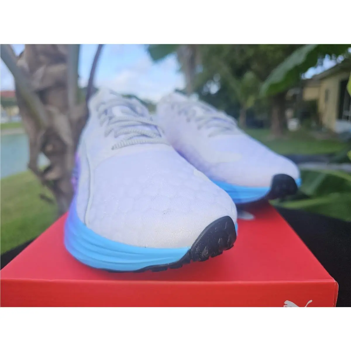 Puma shoes - PUMA ForeverRun Nitro - ForeverRun Nitro - 380007-02 - White 8