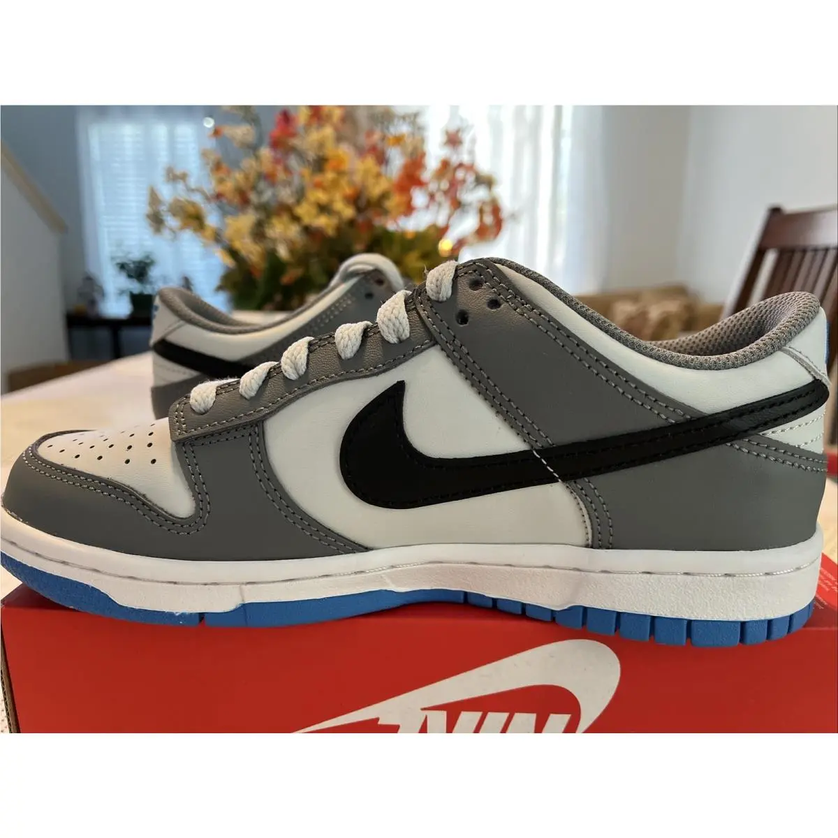Nike shoes - Nike Dunk Low - Dunk Low - FB9109-001 - Cool Grey Black Pure Platinum 0