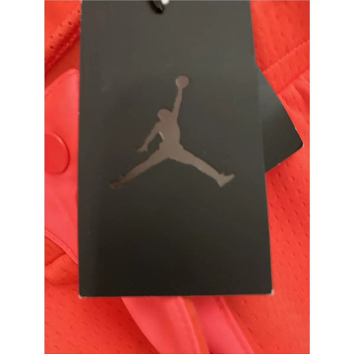 Nike clothing - SATIN OVERLAYS (UPC: 0191888692705) 7