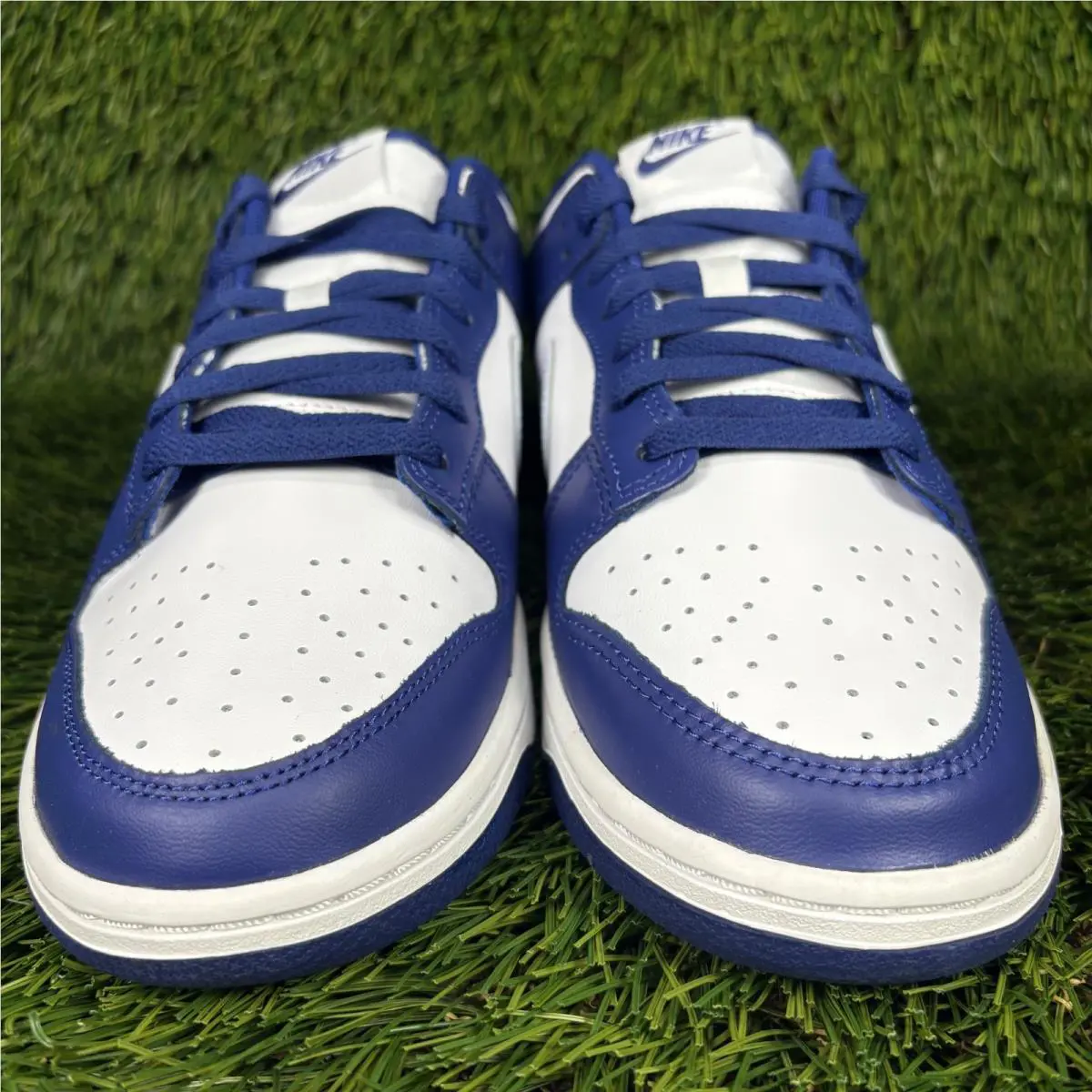 Nike shoes - Nike Dunk Low Retro - Dunk Low Retro - DV0833-401 - Blue 6