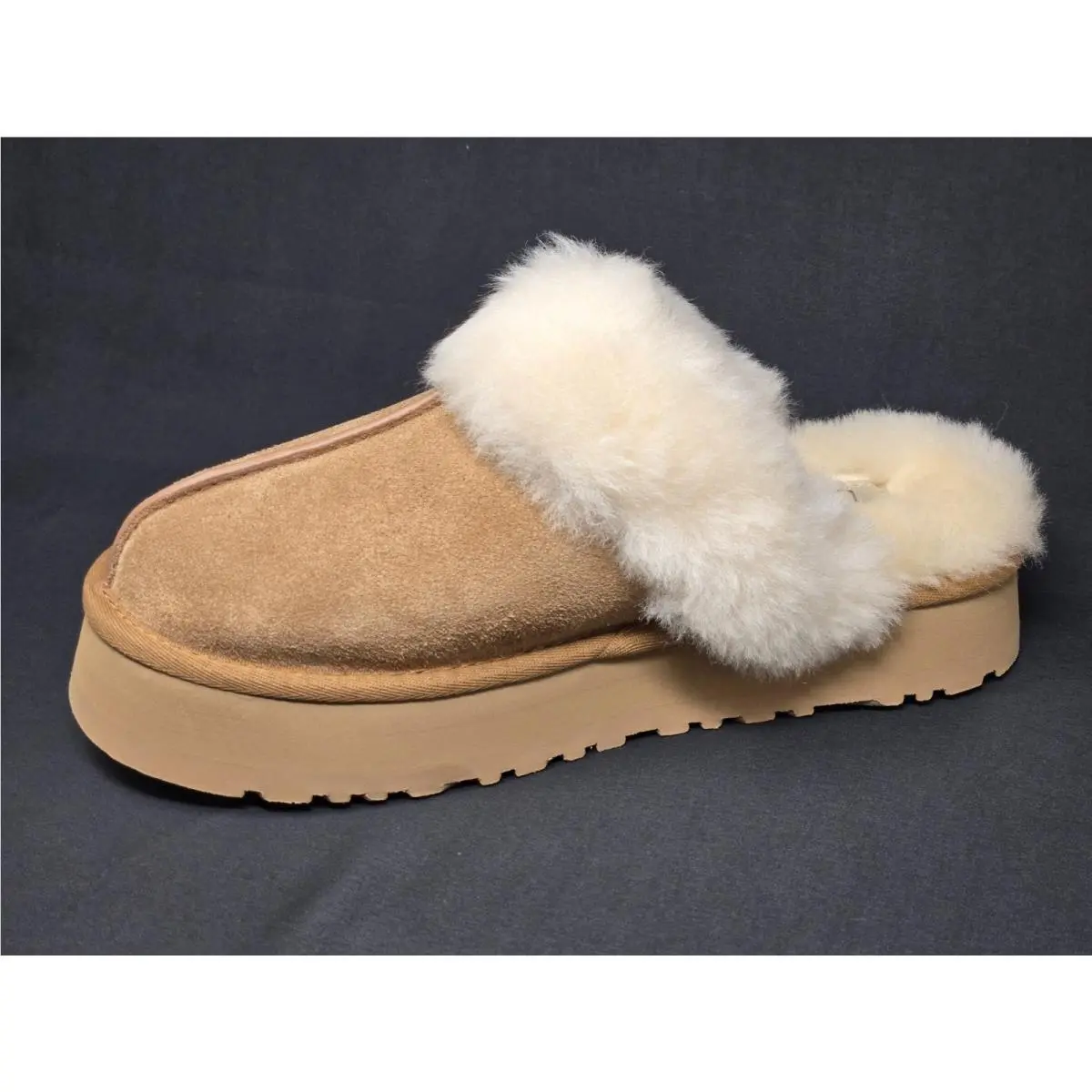 UGG shoes - UGG Disquette - Disquette - Brown 11