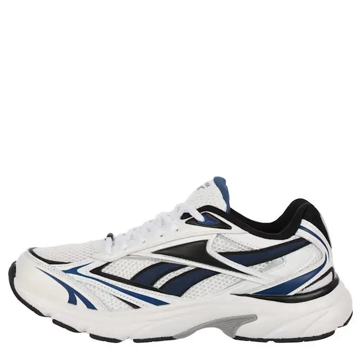 Reebok shoes - Reebok Classic - Classic - Gray, Fashion: Silver/Green 22