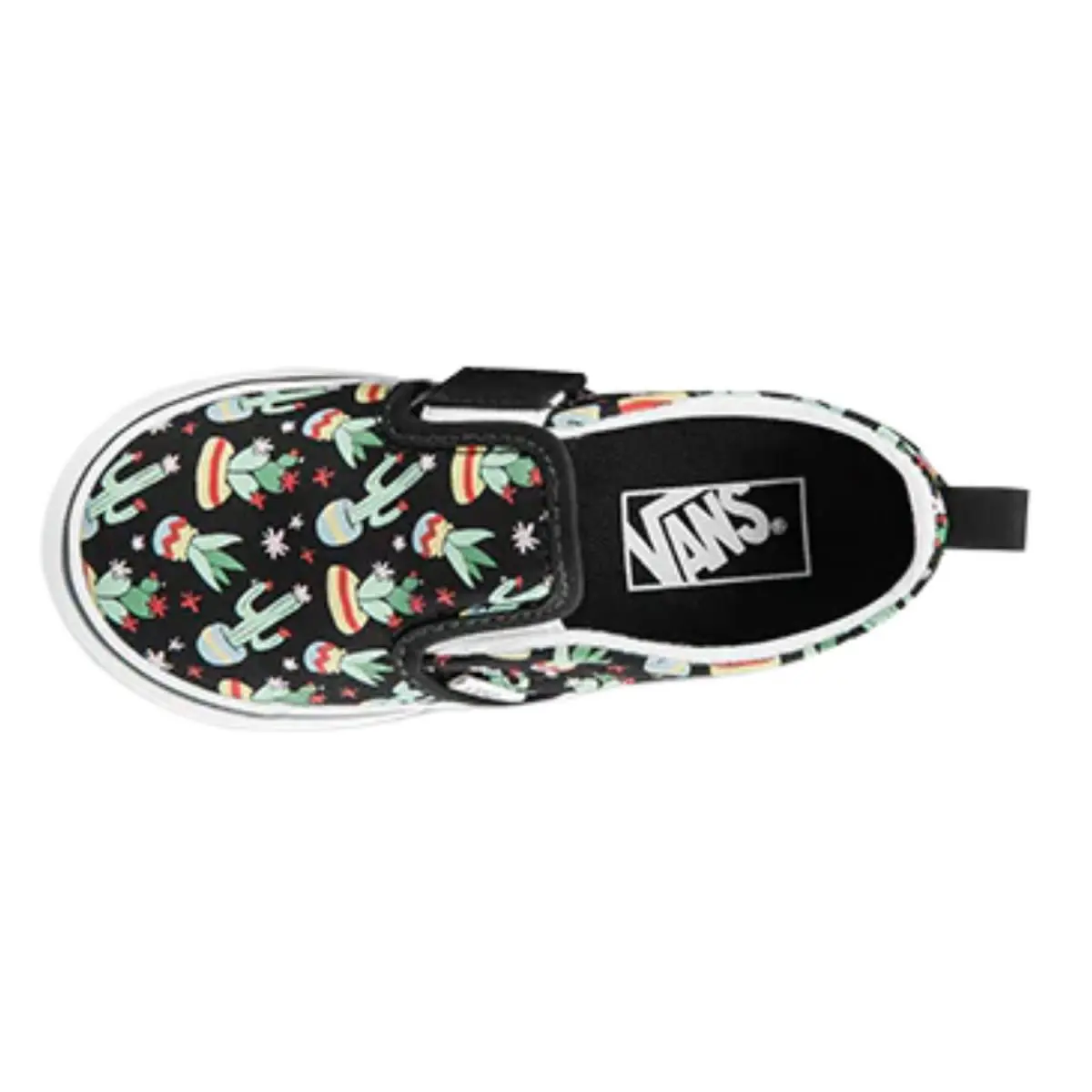 Vans shoes - (CACTUS)BLACK/TRUE WHITE 1