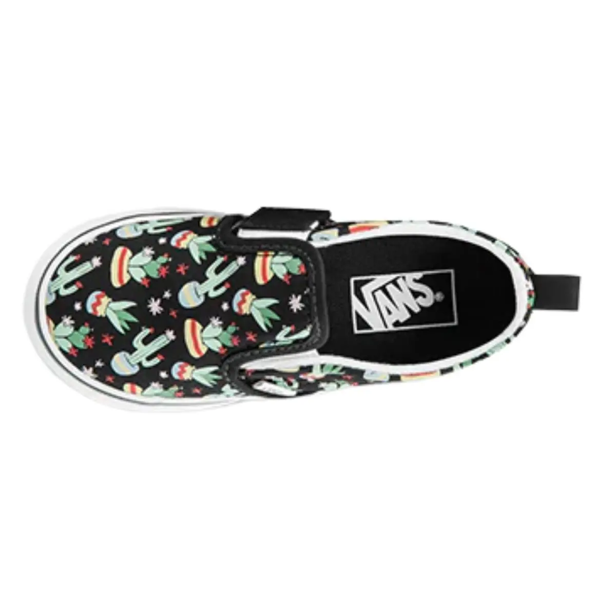 Vans shoes - (CACTUS)BLACK/TRUE WHITE 4