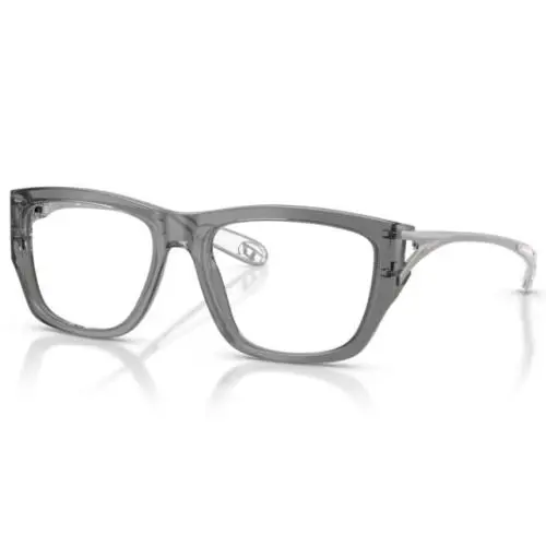 Diesel DL4008 2027 Eyeglasses Transparent Grey Full Rim Square Shape 53mm