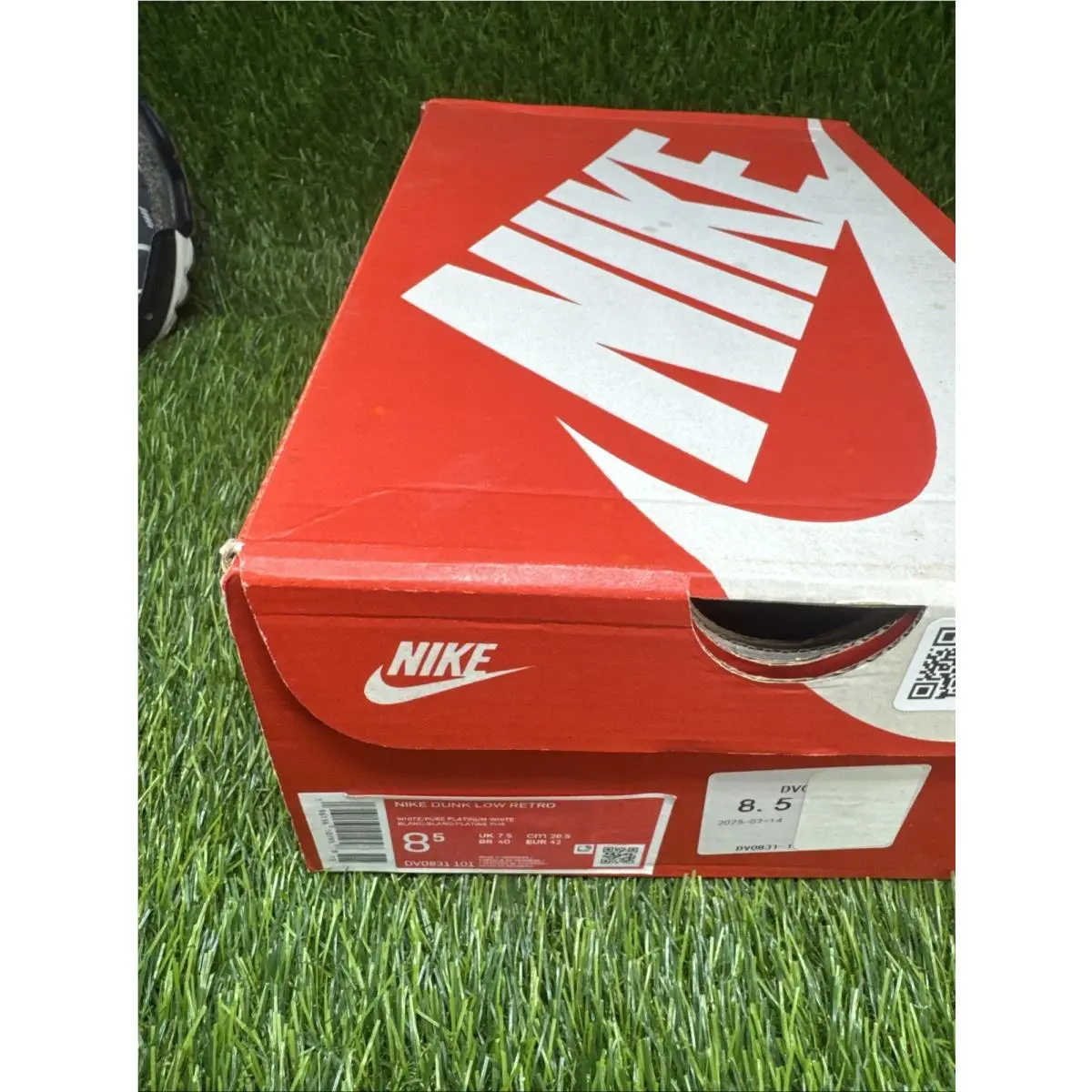 Nike shoes - Nike Dunk Low - Dunk Low - DV0831-101 - White (UPC: 0196156101958) 5