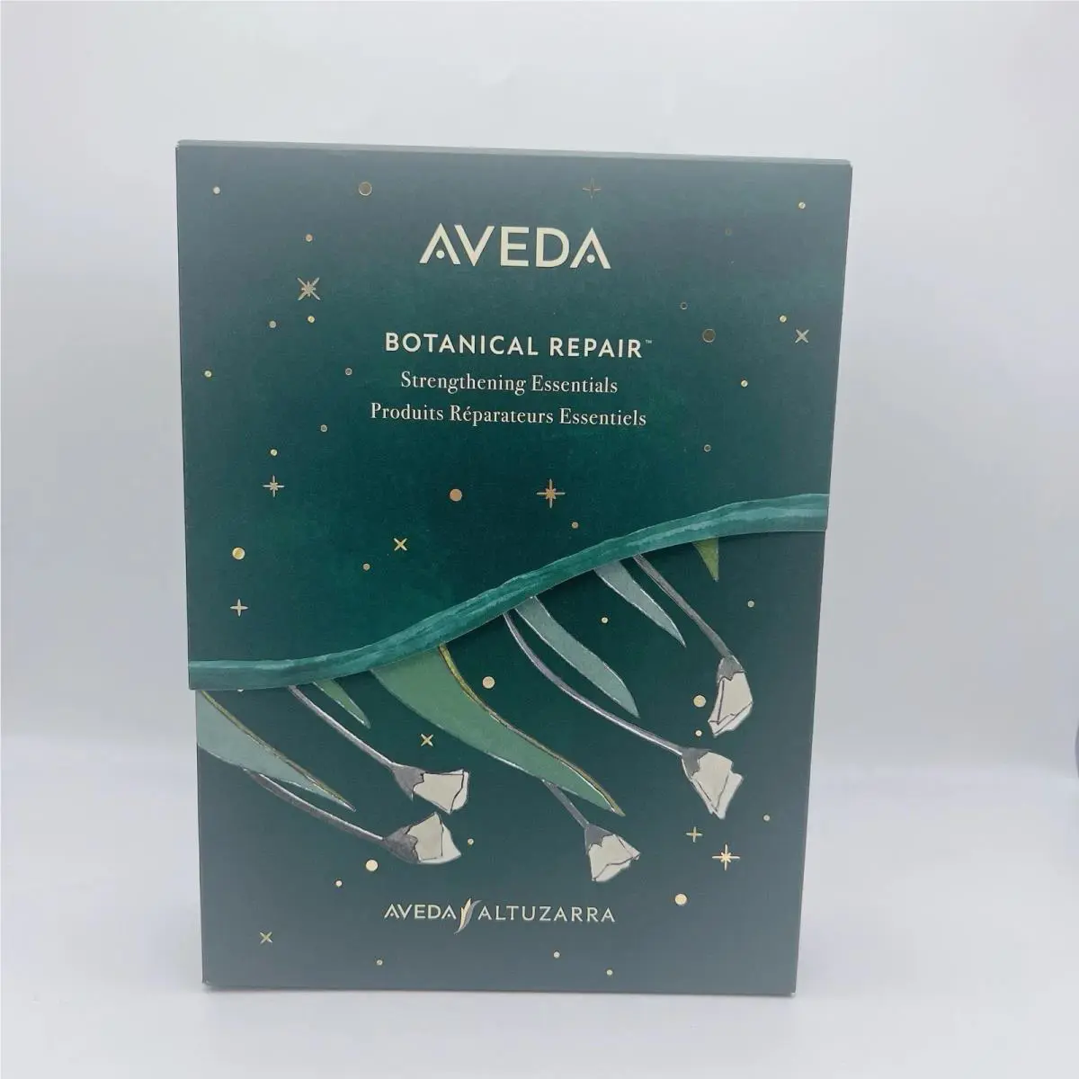 Aveda Botanical Repair Strengthening Essentials Set