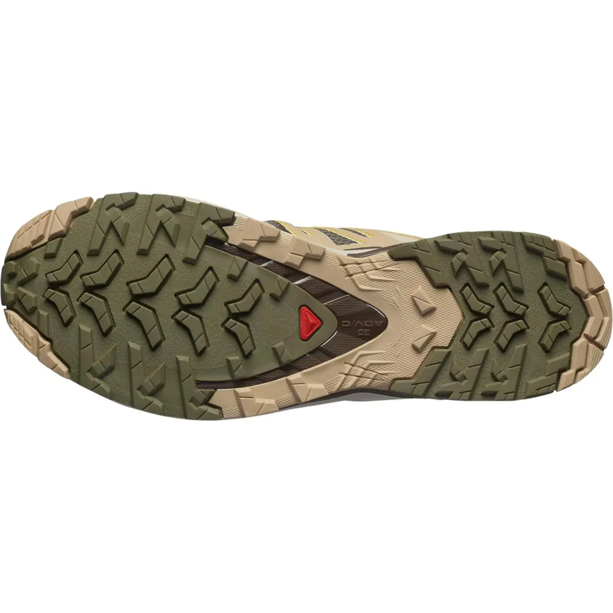 Salomon shoes - Salomon XA PRO 3D V9 - Black/Gull 38
