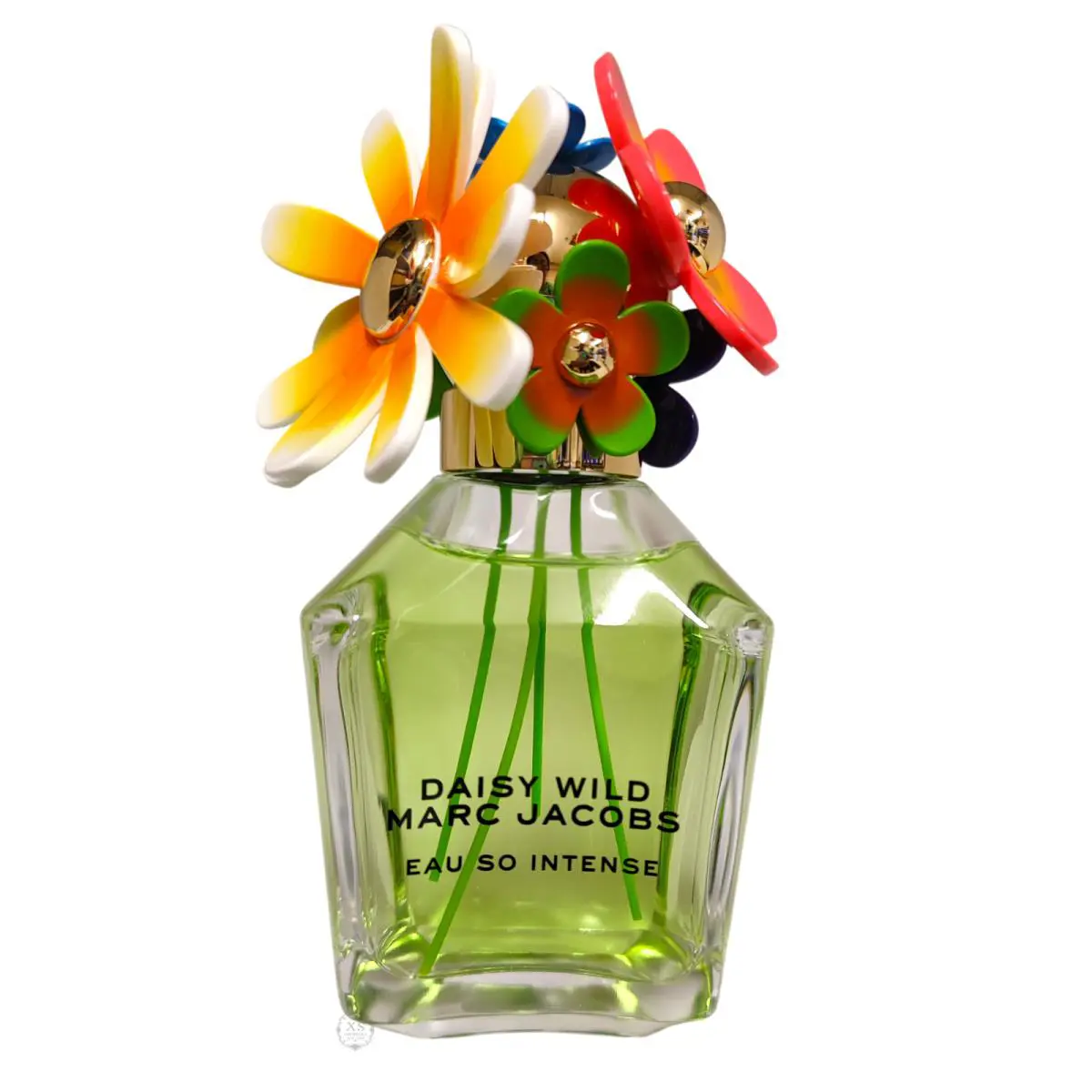 Daisy Wild Marc Jacobs Eau So Intense Eau DE Parfum 3.3 oz Spray For Women Unbox