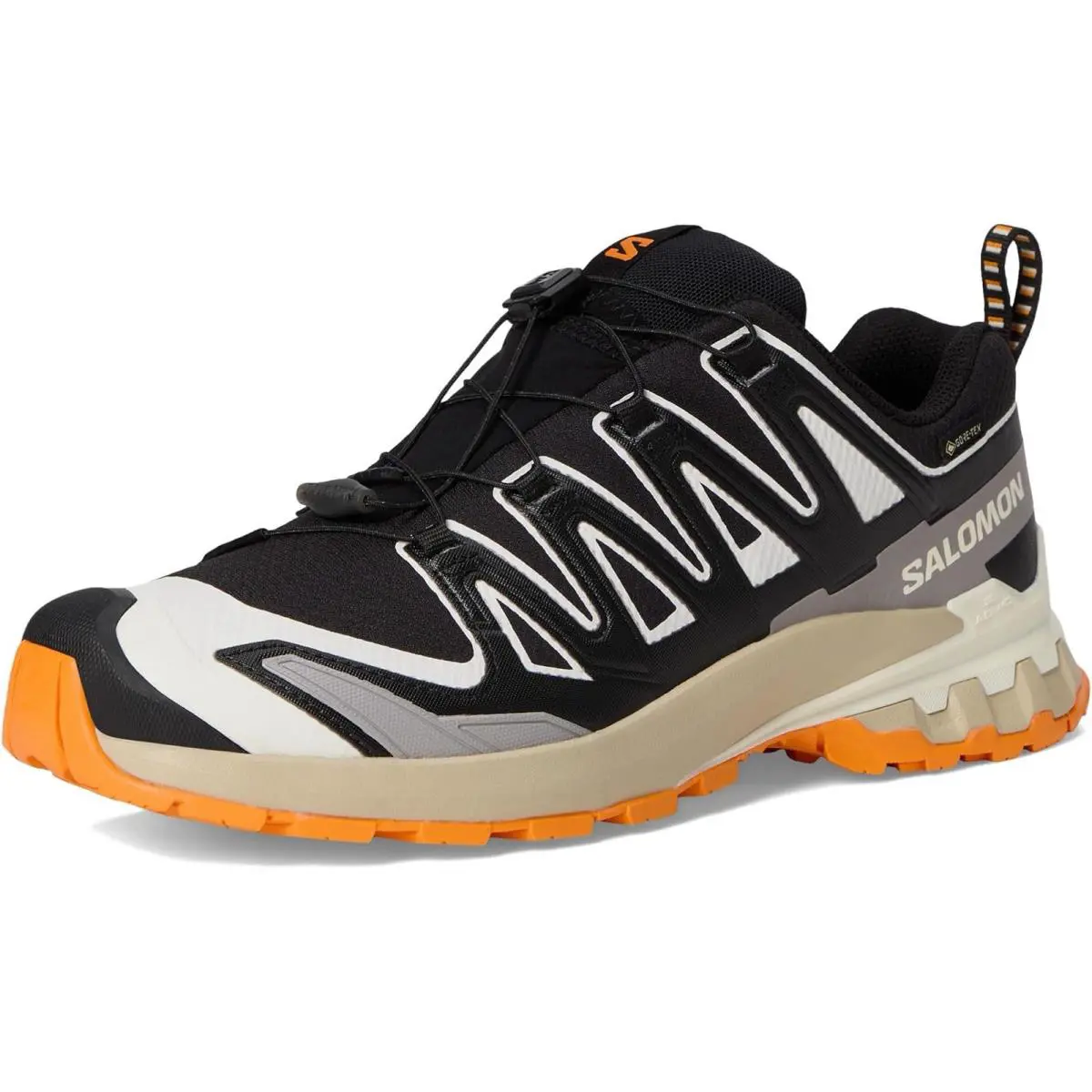 Salomon shoes - XA PRO 3D V9 GTX - Black 2