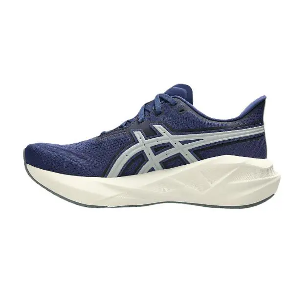 Asics shoes - Indigo Blue / Seal Grey 10