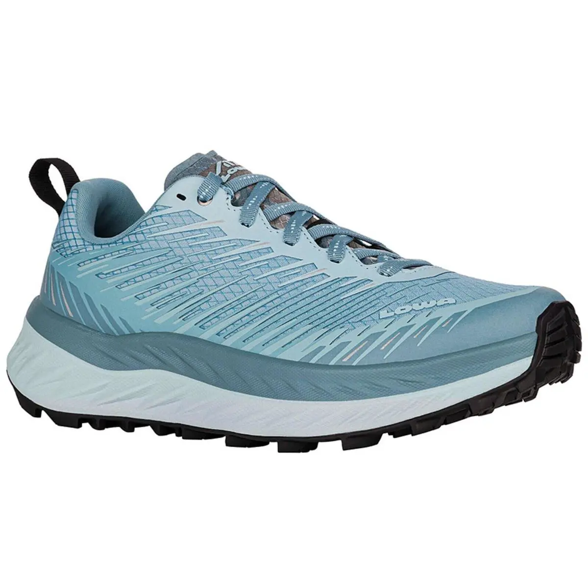 Lowa 3206930900 Women`s Fortux Ws Arctic Speed Hiking Trail Training Shoes