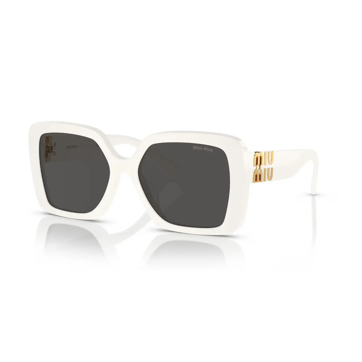 Miu Miu Sunglasses Smu 10Y 142-5S0 D