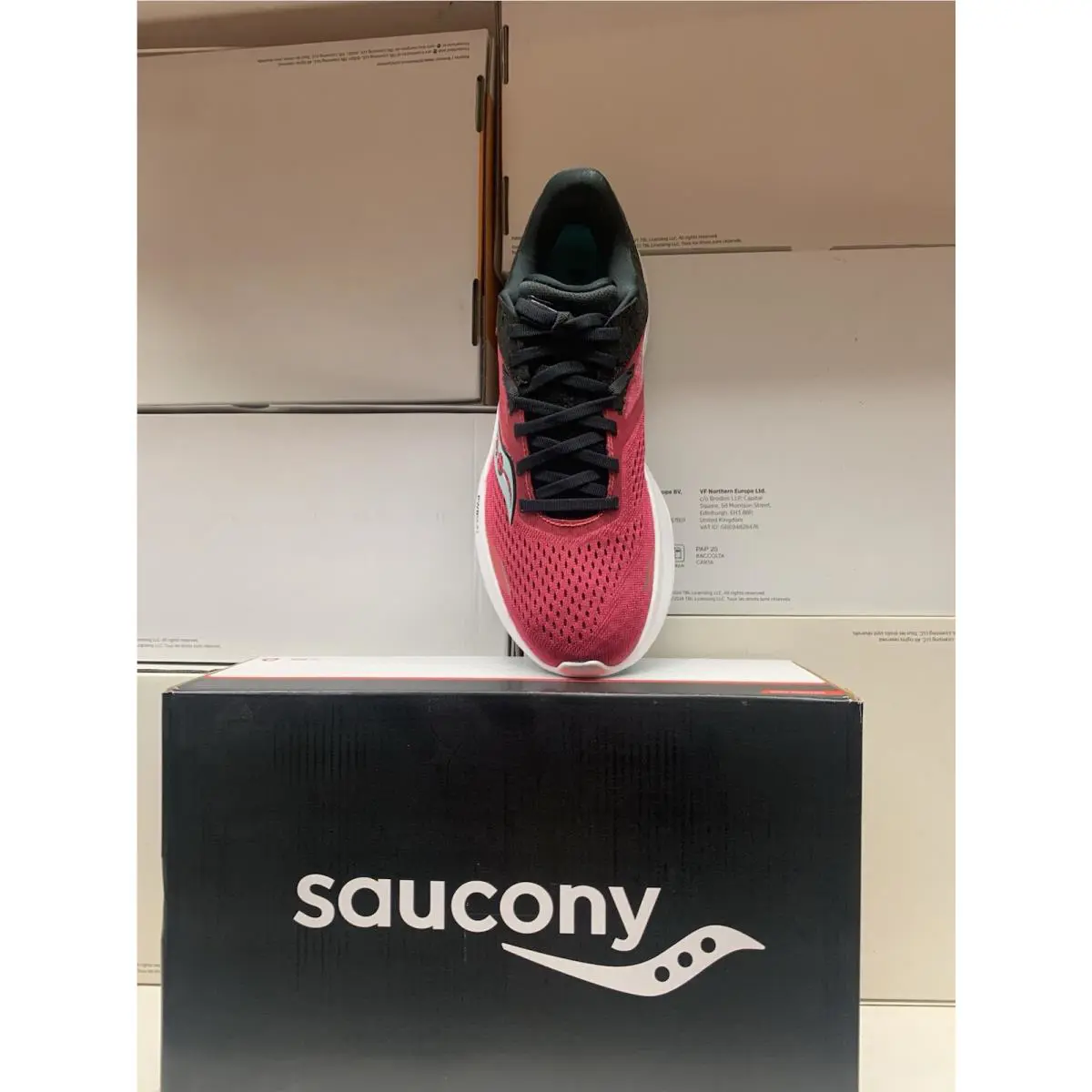 Saucony shoes - Saucony Ride 16 - Ride - S10830-16 - rose 2