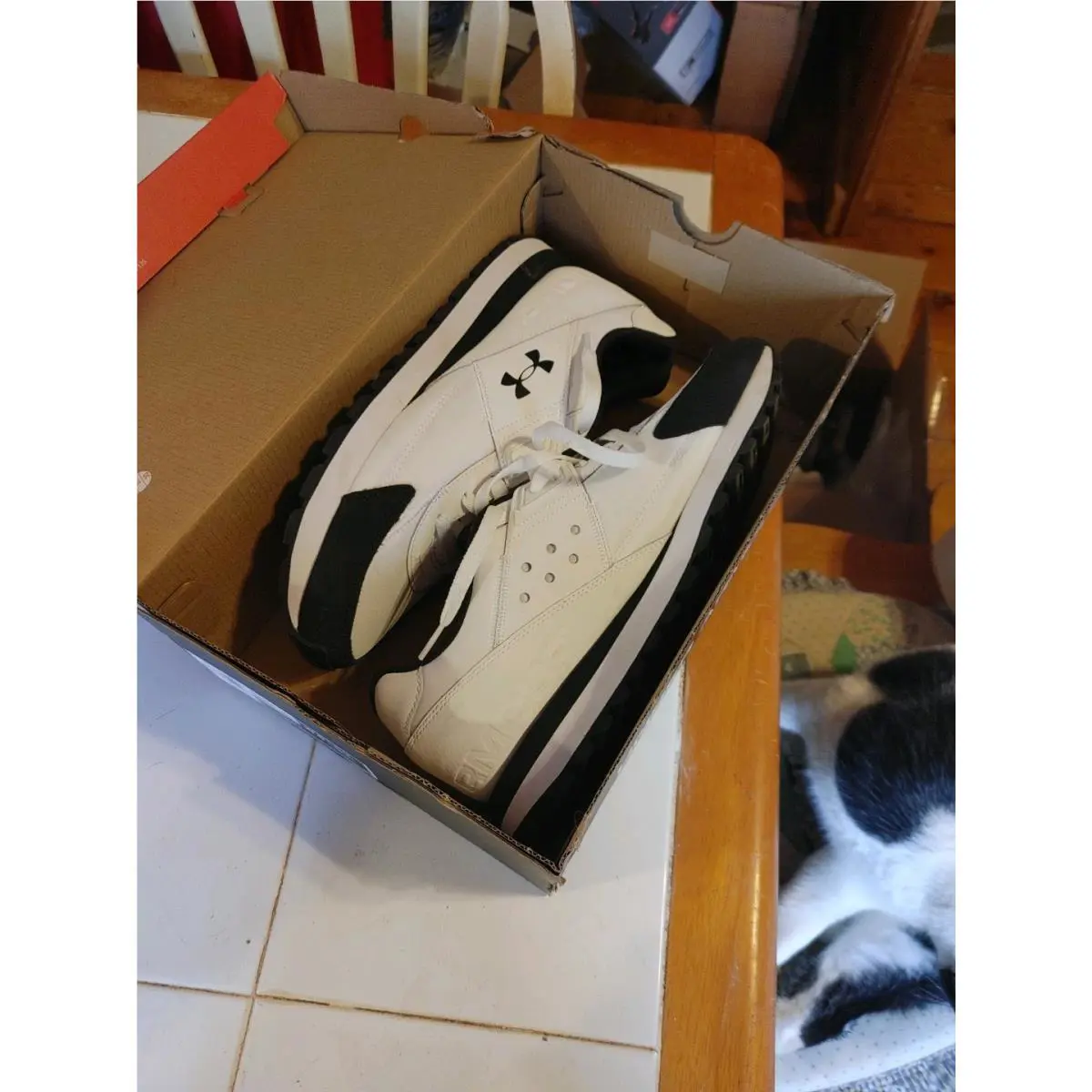 Under Armour shoes - White 3