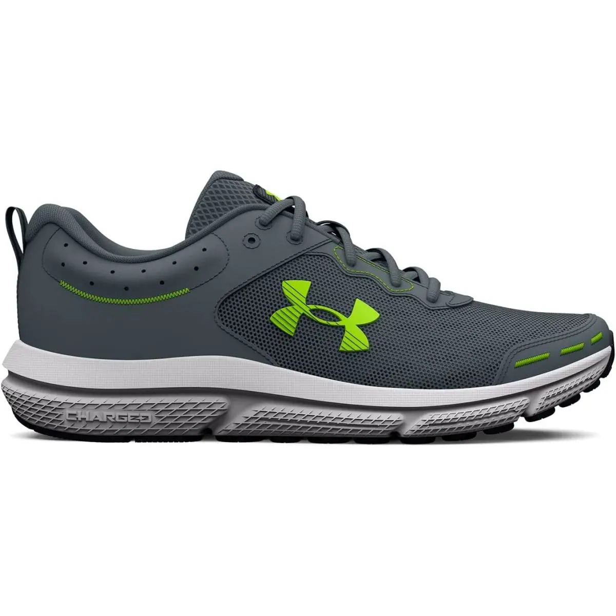 Under Armour shoes - Under Armour Charged Assert 10 - Gray 0