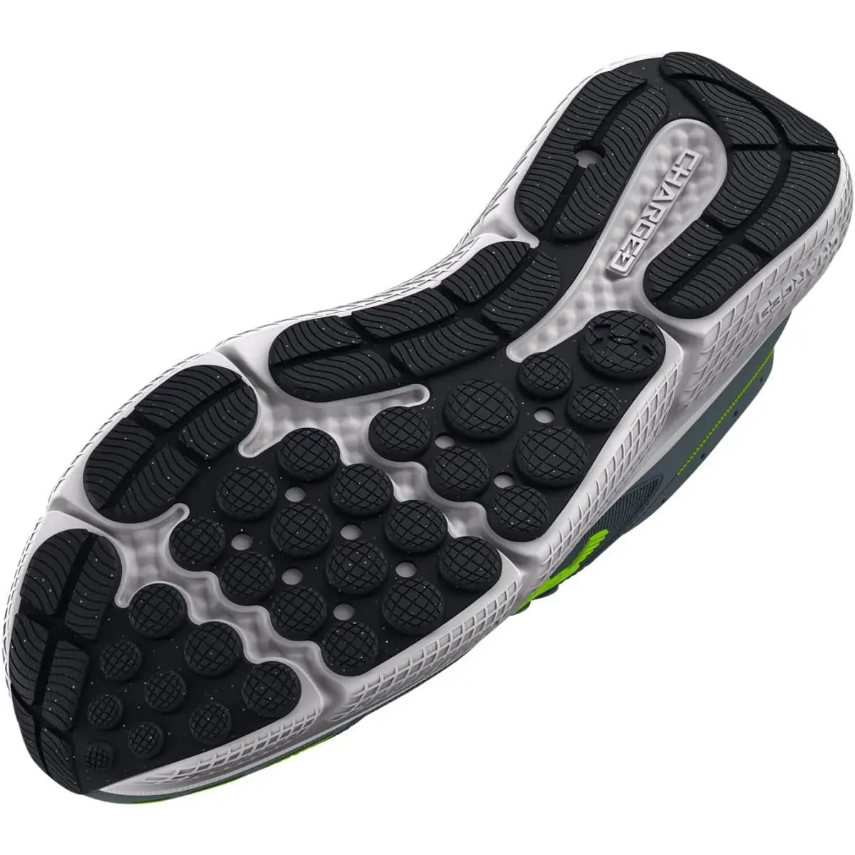 Under Armour shoes - Under Armour Charged Assert 10 - Gray 3