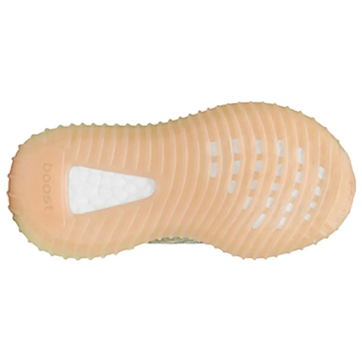 Adidas shoes - Antlia/Antlia-Antlia 1